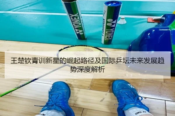 王楚钦青训新星的崛起路径及国际乒坛未来发展趋势深度解析